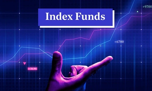 Index Fund