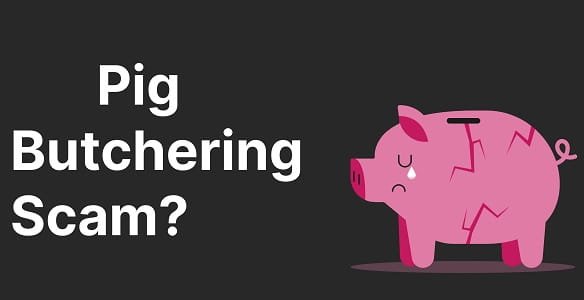How to Spot and Avoid the “Pig Butchering” WhatsApp Scam Targeting Indian Stock Market Investors
